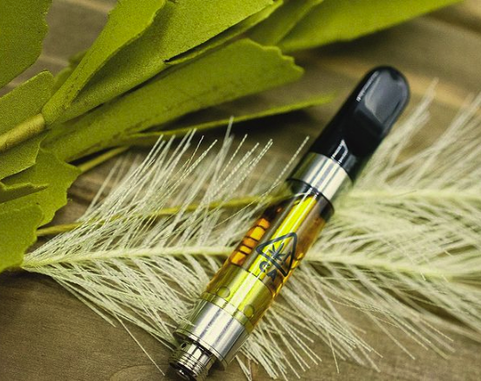 Weed Carts Vs Disposables: Which Are Better?