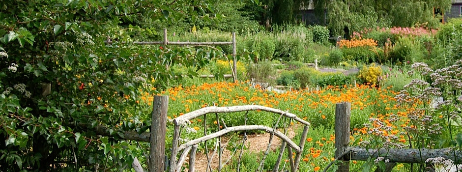 Biodynamic Cannabis Cultivation: The Practice That Beats Organic Farming By A Mile