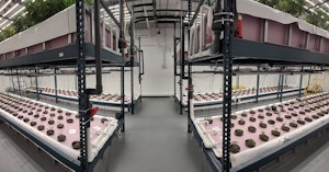 Thumb Genetics Uses Fish Poop And 10,000 Gallons Of Reused Water To Grow Cannabis