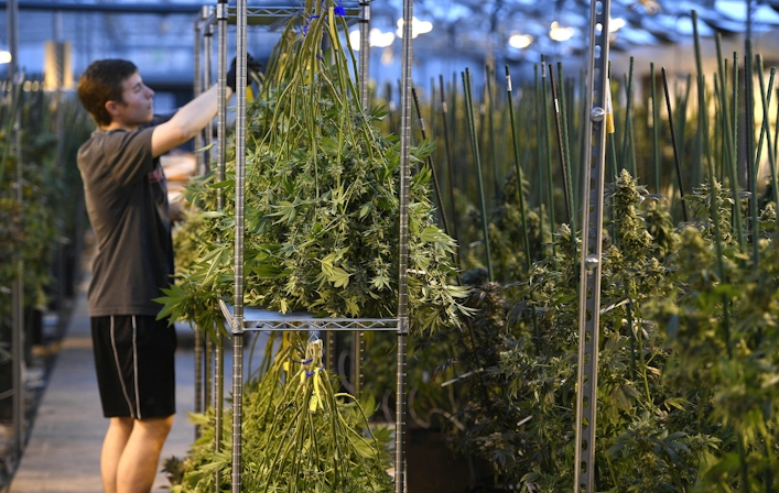 Colorado Broke Another Record, Generating $2.22 Billion In Cannabis Sales Last Year