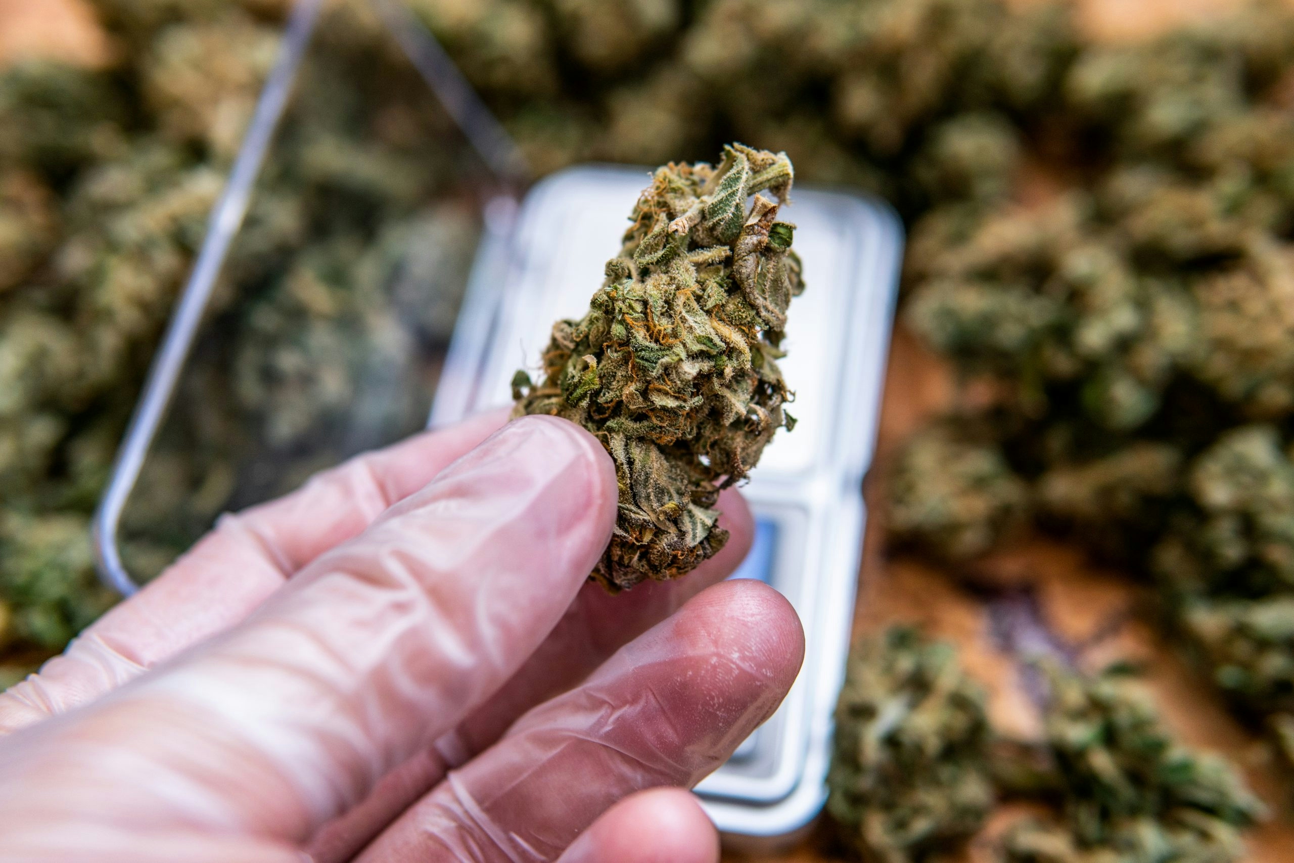 Everything You Need To Know About Pairing CBD With CBG