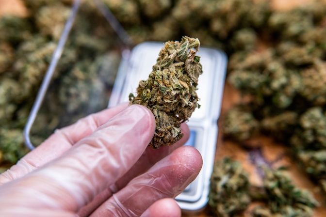 Everything You Need To Know About Pairing CBD With CBG