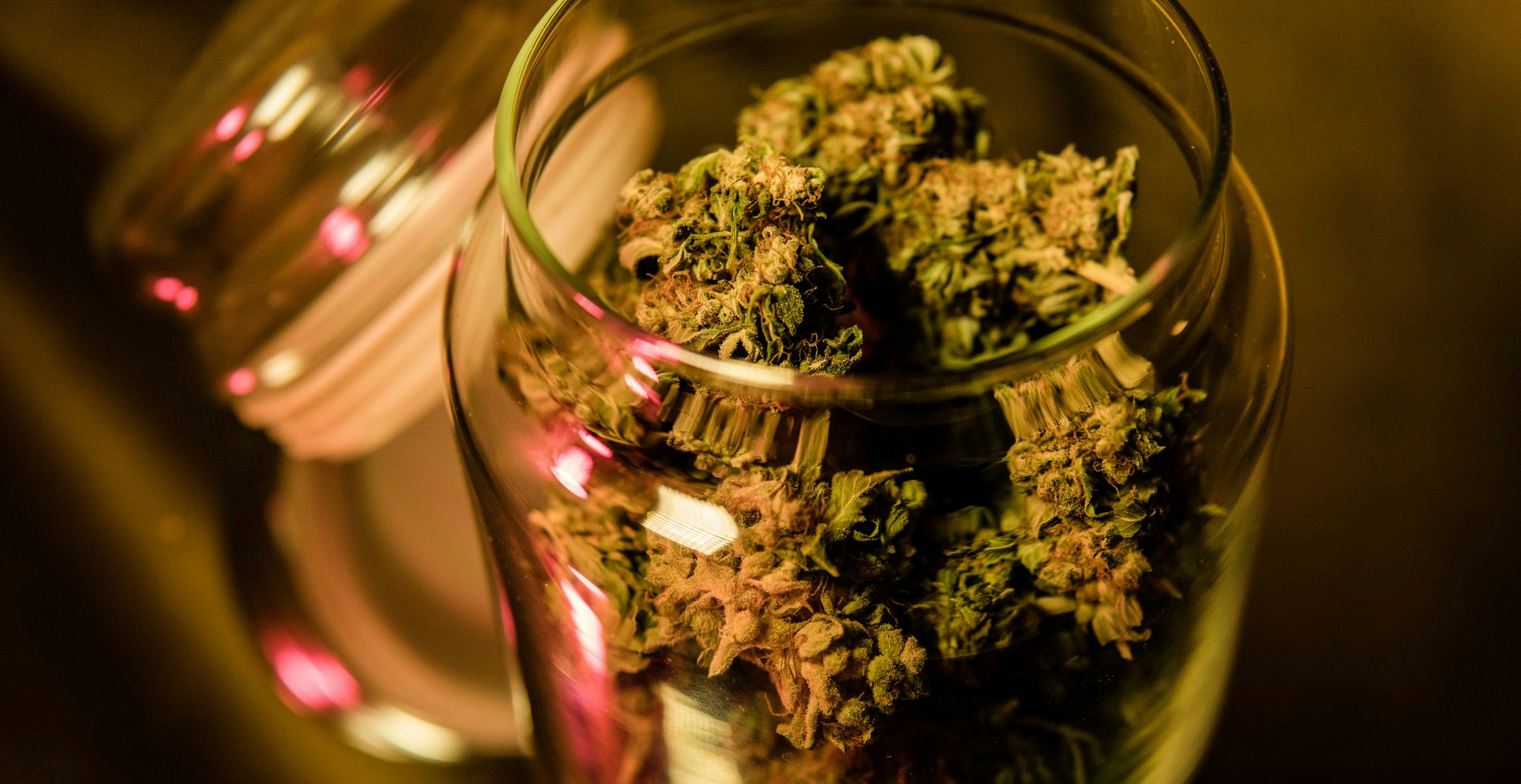 Herb’s Guide To Buying Quality Pre-Rolls