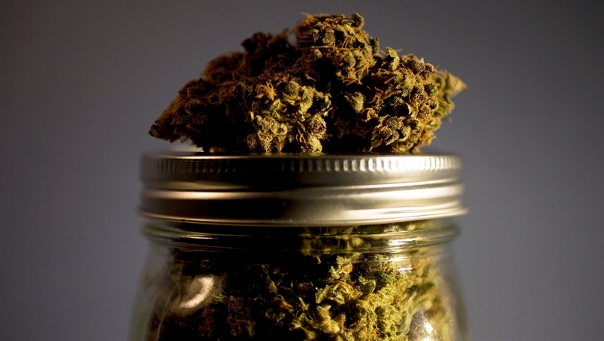 This Not-For-Profit Organization In Missouri Is Helping Minorities Enter The Cannabis Industry