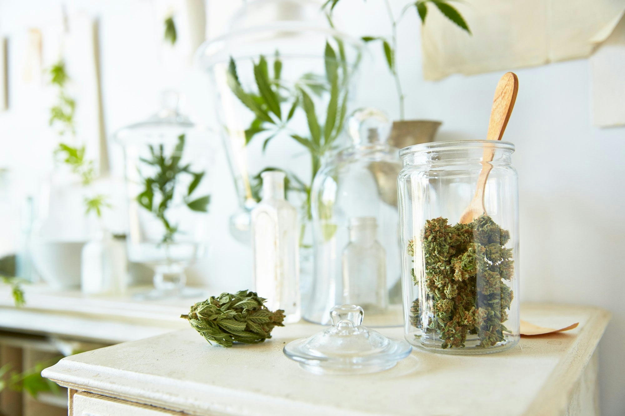 Organic Positioning In The Cannabis Industry