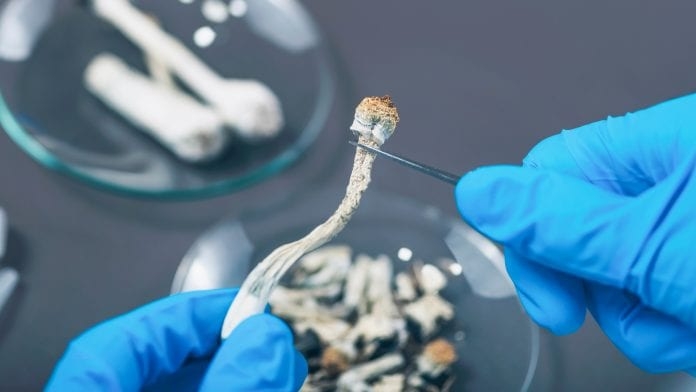 Psychedelics Can Change The Way Our Brains Cope With Chronic Pain