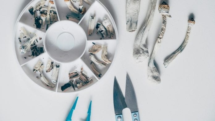 Psychedelics Can Change The Way Our Brains Cope With Chronic Pain