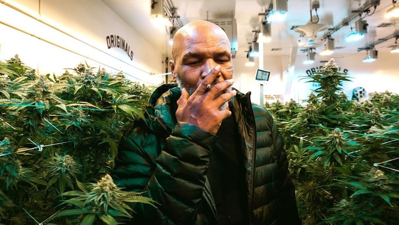 Michigan Will Be The First State To Receive Tyson 2.0 Cannabis Products