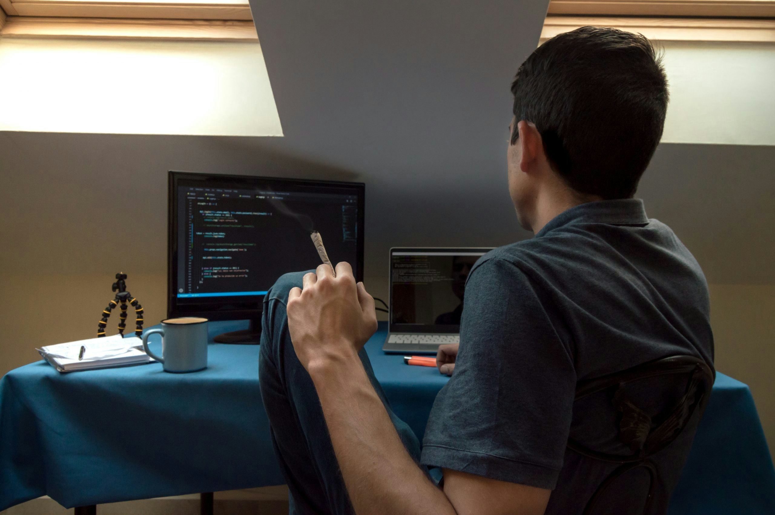 5 CBD-Rich Strains To Get You Through Your Day