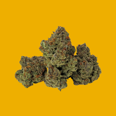 HoneyBee Collective Turns To Crowdfunding Campaign For Business Investments