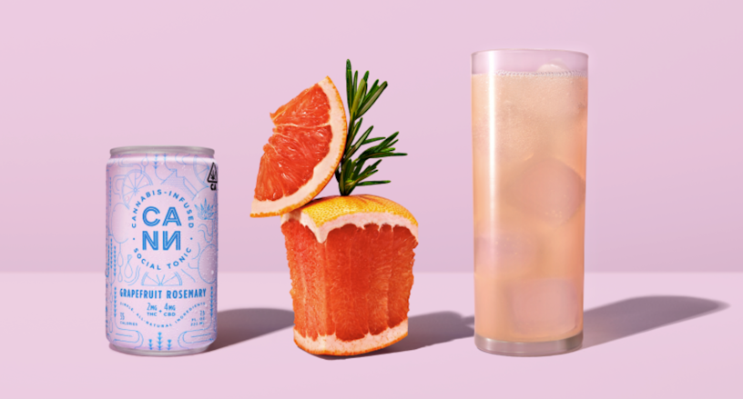 Nina Dobrev Promotes Cann’s Beverages Despite Having Her Own Wine Company