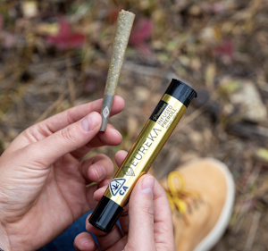 Best Pre-Rolls In Colorado