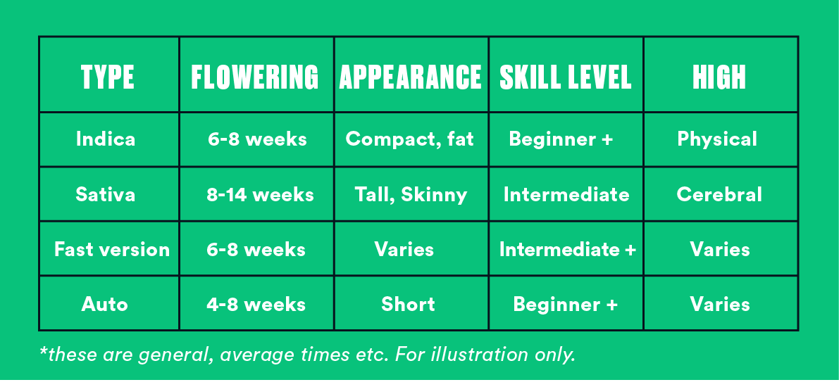 Ricky Williams: The Homegrowing Highsman