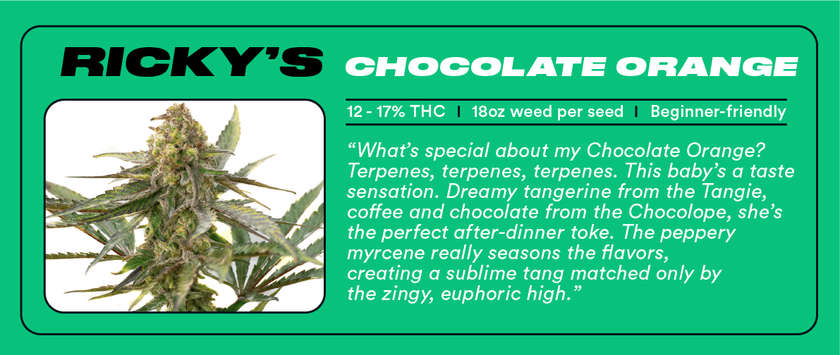 Ricky Williams: The Homegrowing Highsman