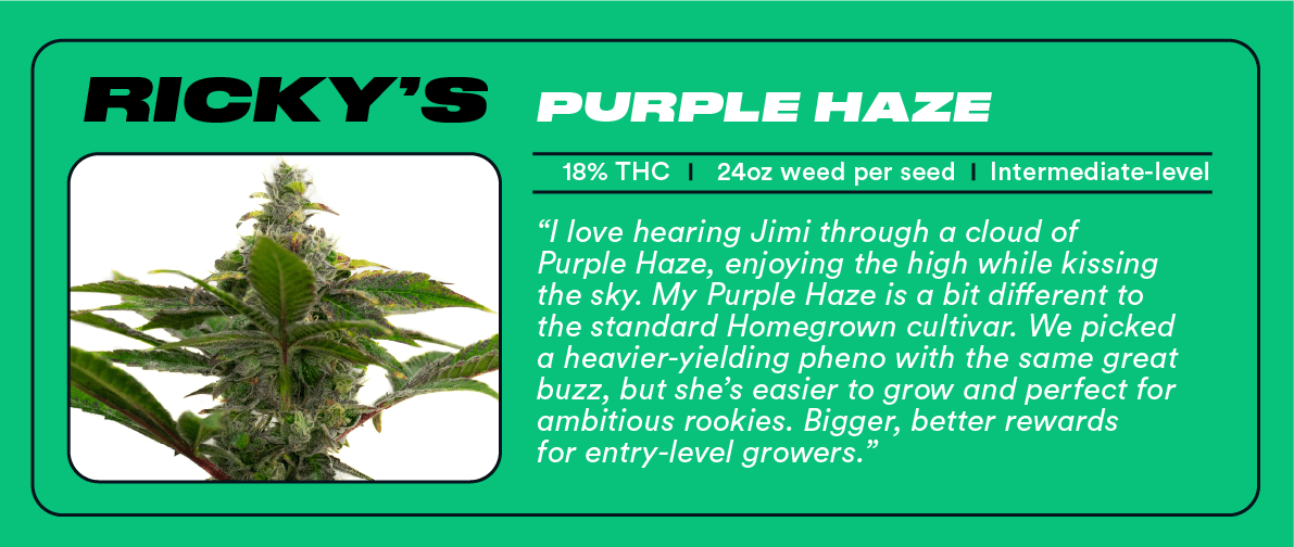 Ricky Williams: The Homegrowing Highsman