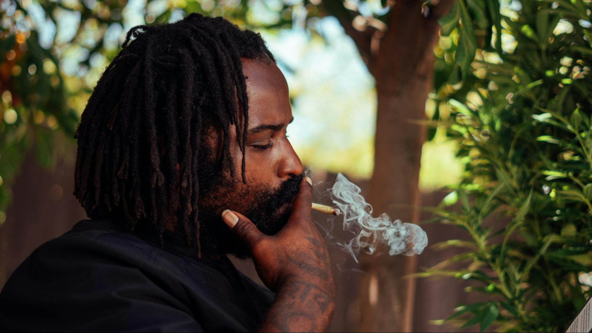 Ricky Williams: The Homegrowing Highsman