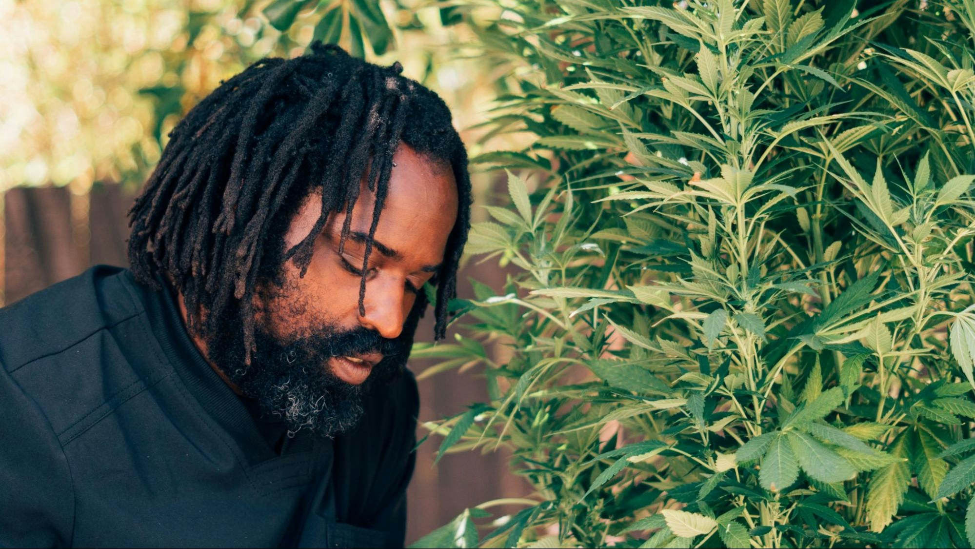 Ricky Williams: The Homegrowing Highsman