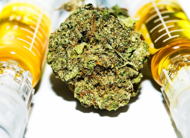 Colombia’s Government Regulates Non-Psychoactive Cannabis For Edibles & Industrial Use