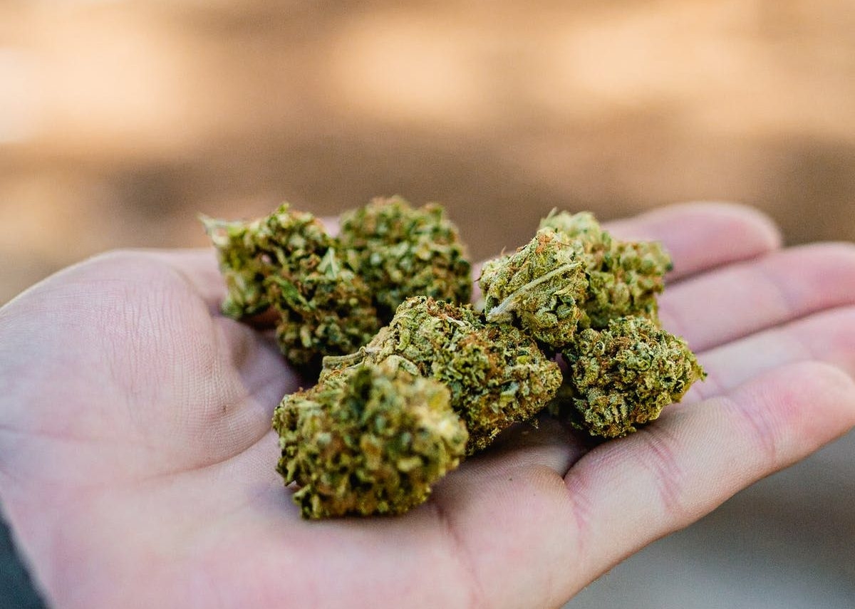 Grandmother Becomes The First Patient In New Zealand To Legally Use Medical Cannabis