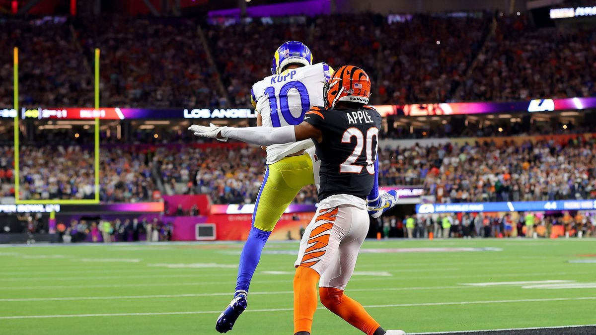 Meet The Lead Professor In Charge Of The NFL’s Cannabis Research Initiatives