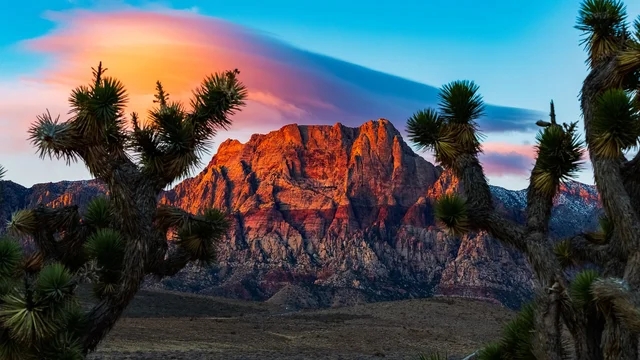 A Nevada Equity Program Is Ensuring Minorities Have A Clear Shot At The Cannabis Industry