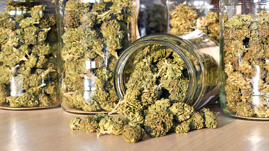 Canada’s Cannabis Space Is In Need Of Diversity