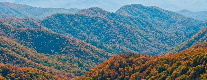 These Cannabis Retreats Are Waiting For You