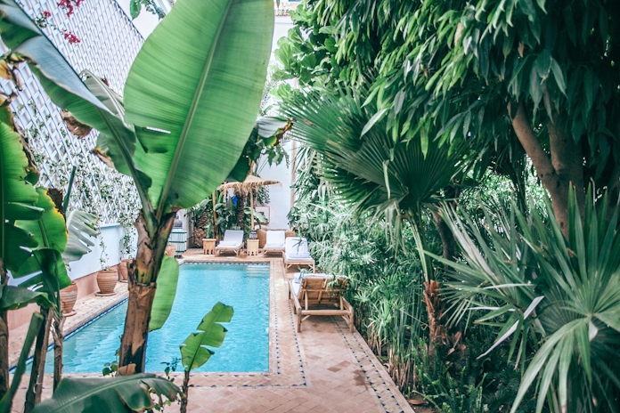 These Cannabis Retreats Are Waiting For You