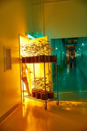 Jay-Z’s ‘The Parent Company’ Found Its CEO Through LinkedIn