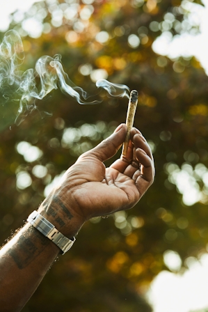 Jay-Z’s ‘The Parent Company’ Found Its CEO Through LinkedIn