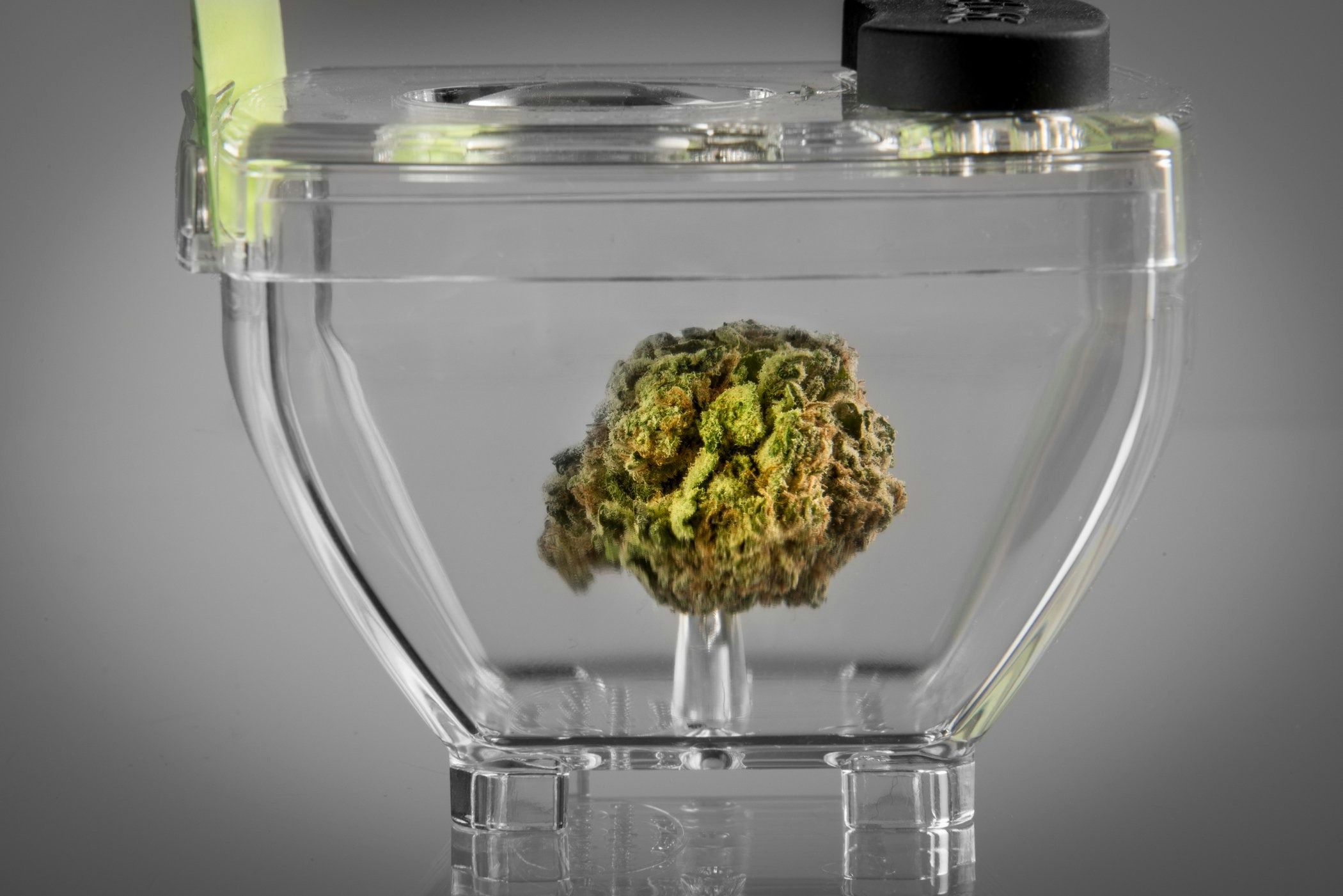 Prices For Cannabis Products Have Never Been Lower