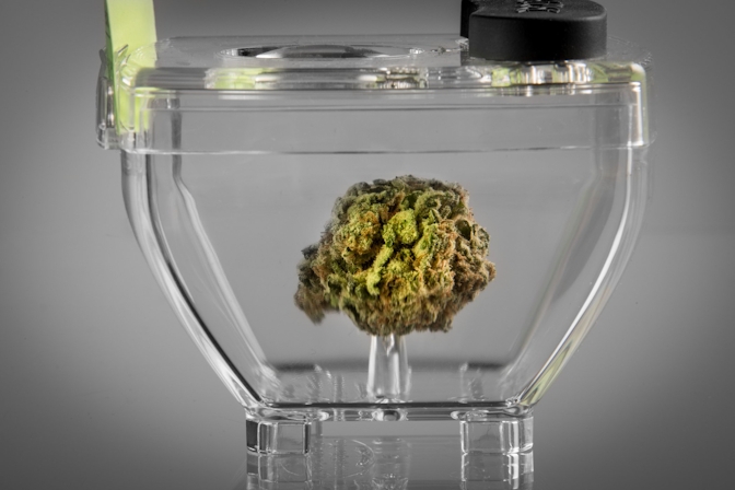 Prices For Cannabis Products Have Never Been Lower