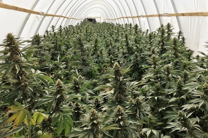 A New Bill Would Allow California To Conduct Interstate Cannabis Commerce