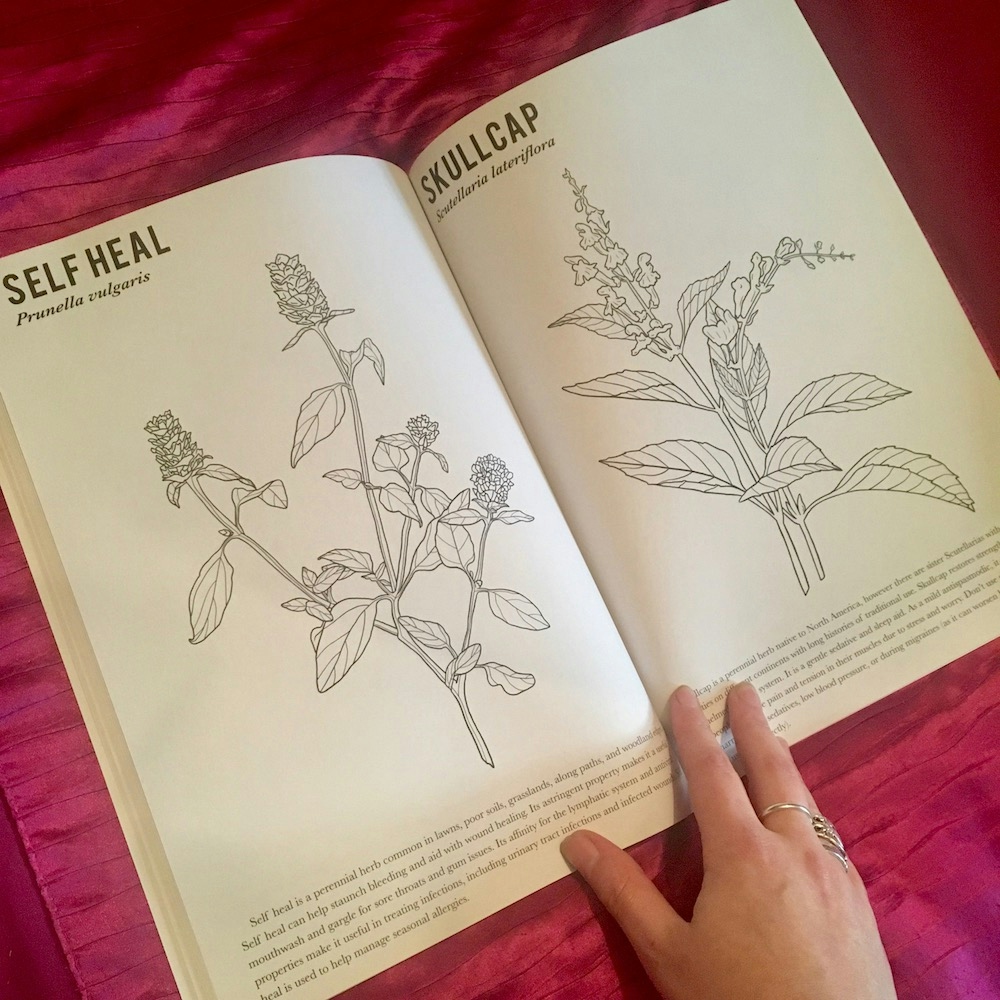 Best Stoner Coloring Books: Free Printable Pages