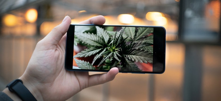 How To Market Your Cannabis Brand On Instagram