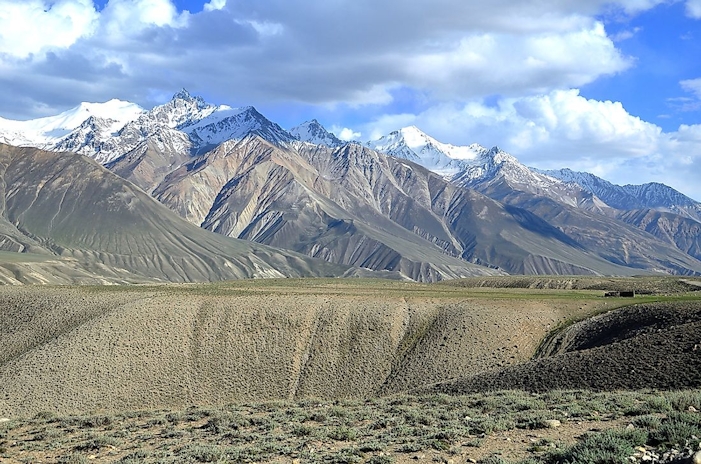 Where Does Weed Grow In The Wild? Places Weed Grows Naturally