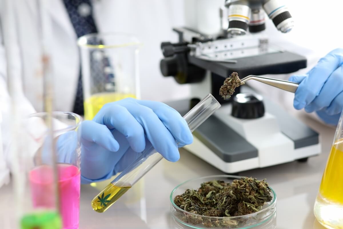 Pesticide Testing Is Now Mandatory For Washington State’s Cannabis Products