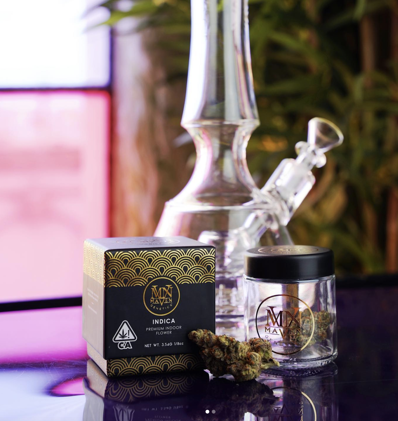 California’s Best: Meet Maven Genetics