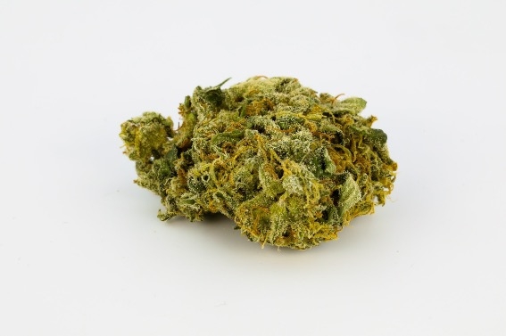 Marijuana Strains That Will Break The Bank