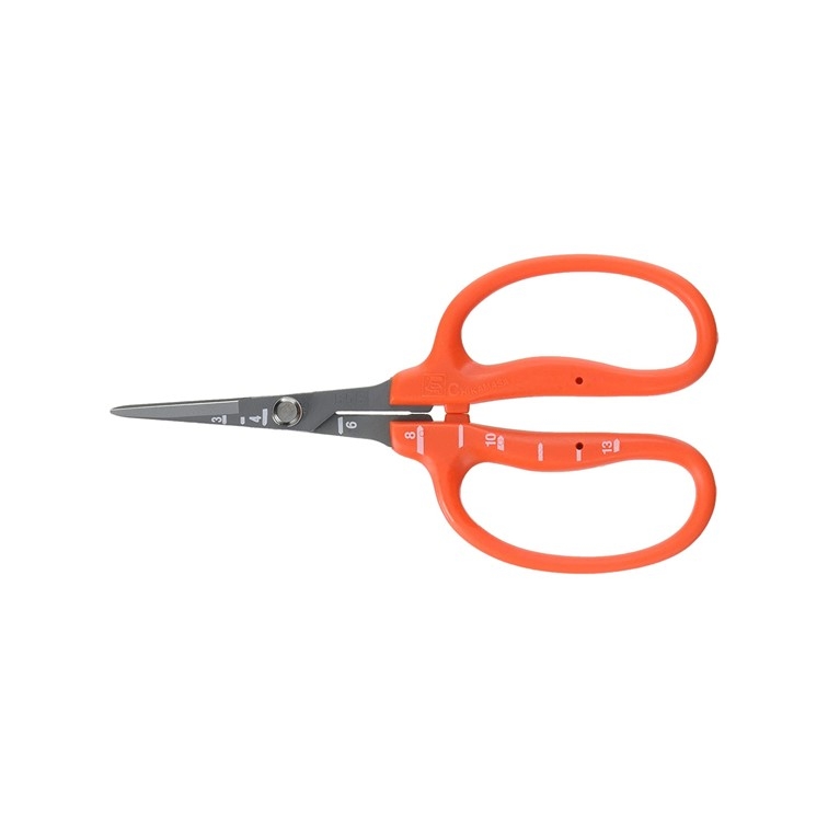 Stainless Steel Scissors