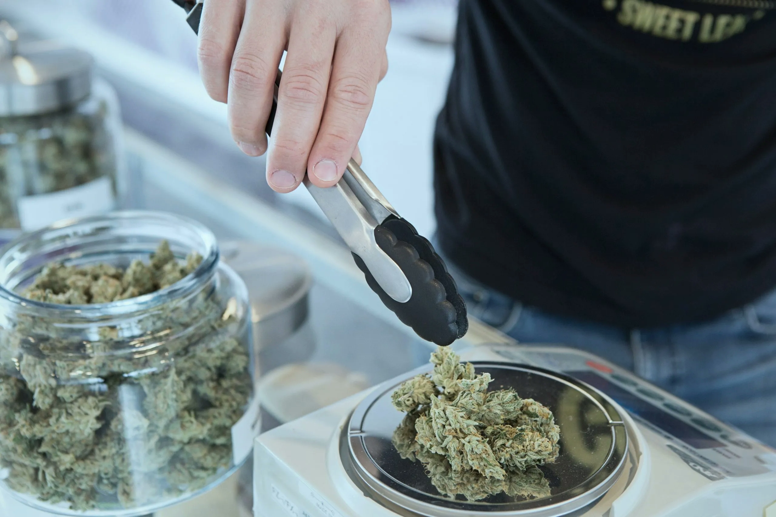 Premium cannabis flower showing rich trichome coverage