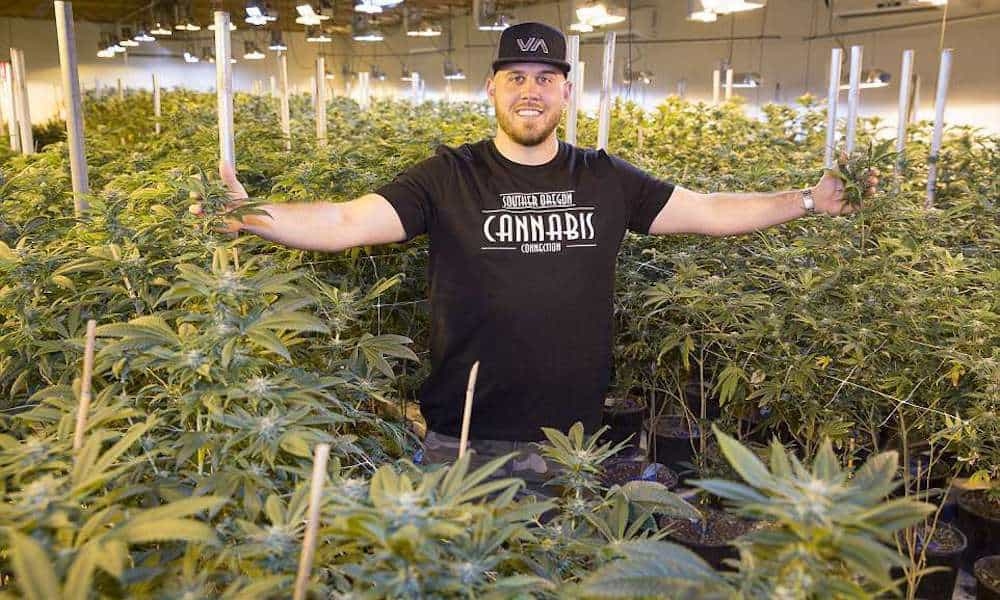 Meghan Markle’s Nephew Launches Cannabis Company After The Royal World Tore His World To Pieces