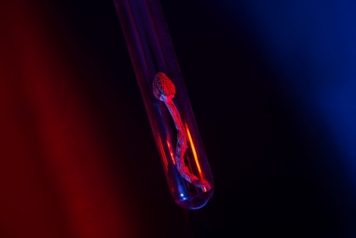 5 Substances To Consider Microdosing