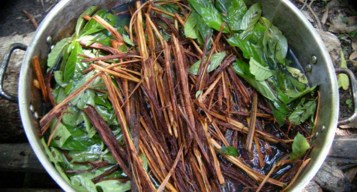 5 Substances To Consider Microdosing