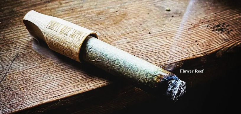 What’s The Difference Between A Thai Stick And Cannagar?