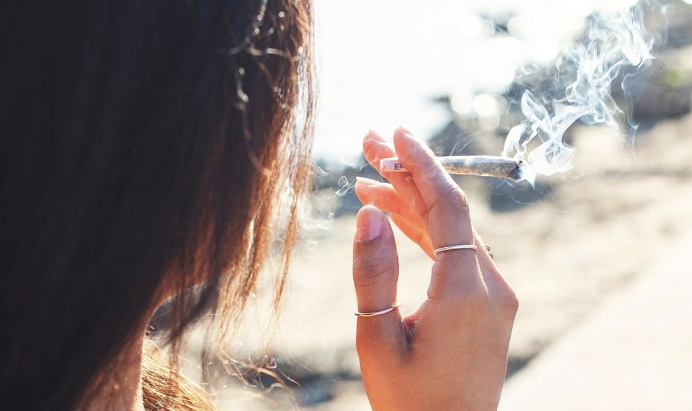 Is Sticky Weed Good? Is Wet Weed Better Than Dry?