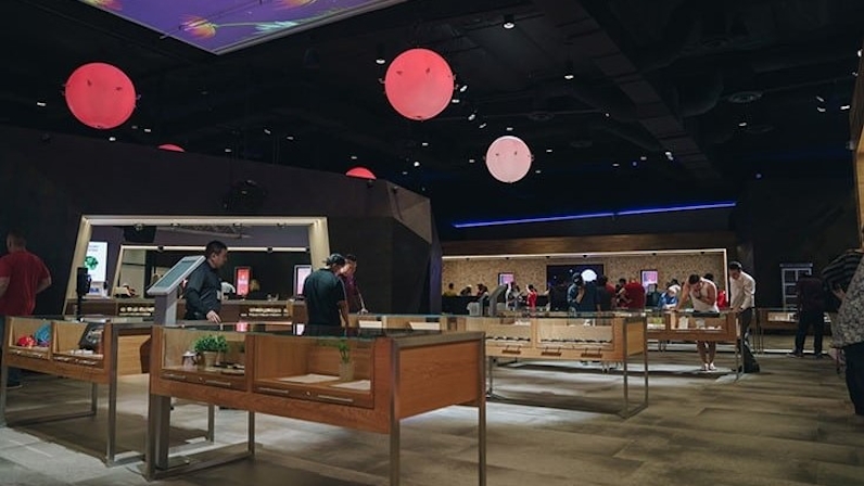 Las Vegas & Marijuana: Delivery Services, Dispensaries, & Grow Houses