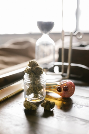 The Best CBD Flower From Bay Smokes
