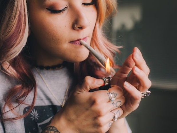 THCA Pre-Roll Wholesale: Expand Your Possibilities With Bloomz