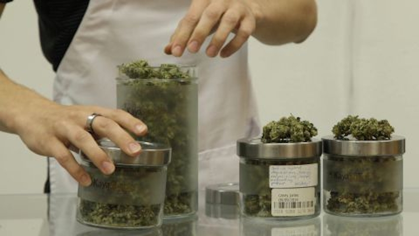 Which Cities Have Had The Most Success Post-Cannabis Legalization?